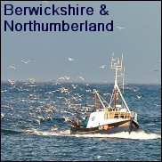 Berwickshire & Northumberland, October 2005