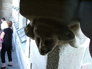 corbel head at the top of the north tower of Geneva Cathedral