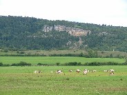 Jura