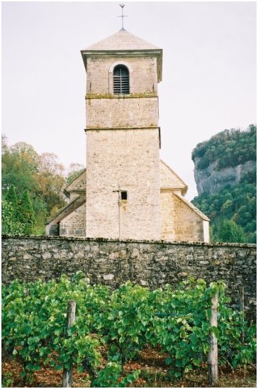 St-Jean-Baptiste: le vignoble meets the sheer rocks of le Cirque de Baume.