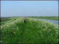 Jimmy on the river bank. I used to roam it for hours at the same age.
