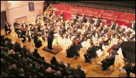 Petersfield Orchestra, photo Trevor Nichols