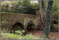 Chithurst Bridge